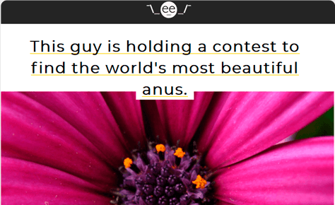 This Guy Is Holding A Contest To Find The World's Most Beautiful Anus.